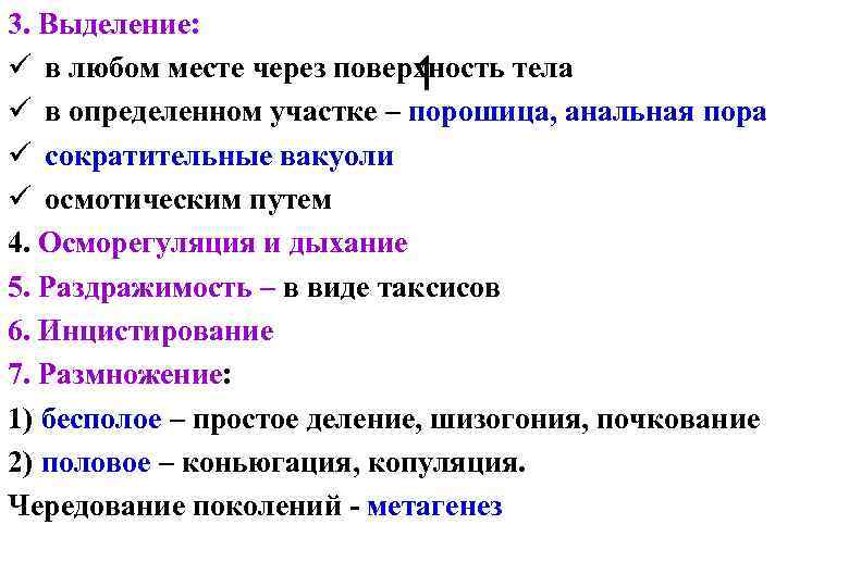 3. Выделение: ü в любом месте через поверхность тела 1 ü в определенном участке