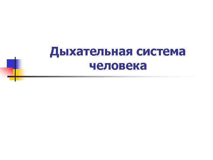 Дыхательная система человека 