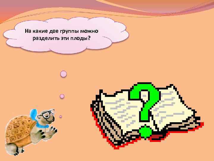 На какие две группы можно разделить эти плоды? 