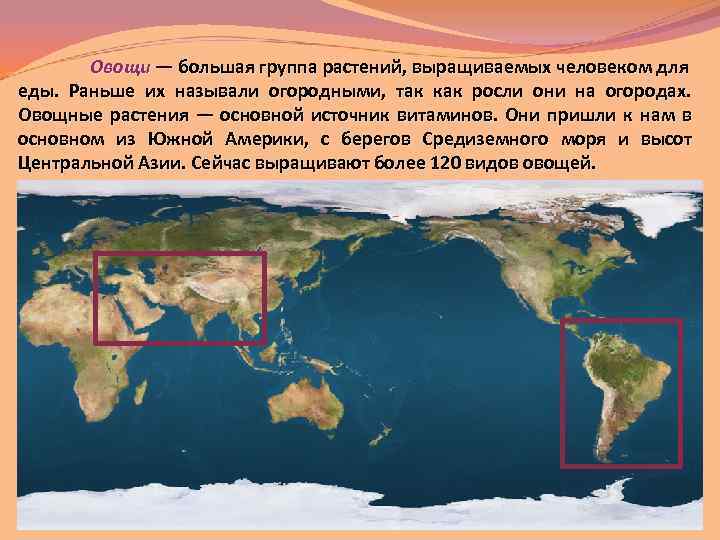 Овощи — большая группа растений, выращиваемых человеком для еды. Раньше их называли огородными, так