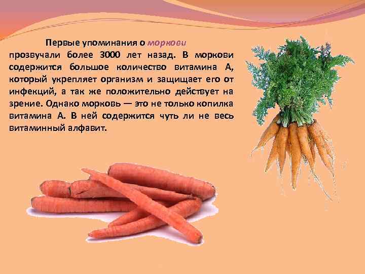Первые упоминания о моркови прозвучали более 3000 лет назад. В моркови содержится большое количество