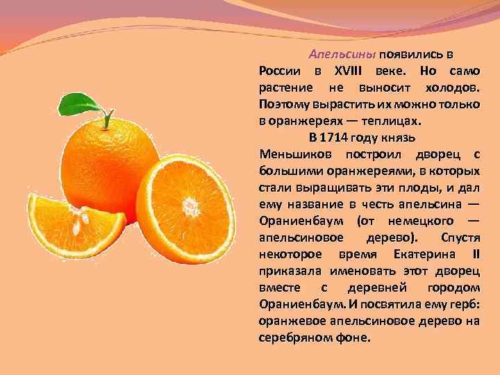 Апельсины появились в России в XVIII веке. Но само растение не выносит холодов. Поэтому