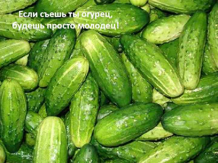 Если съешь ты огурец, будешь просто молодец! 
