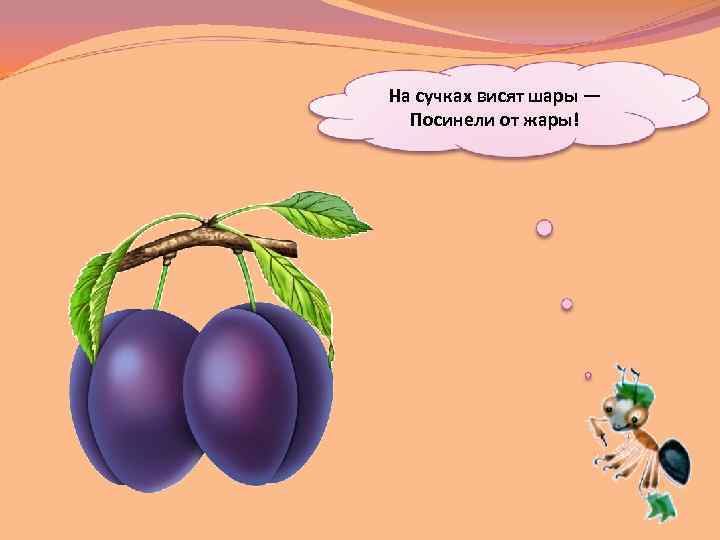 На сучках висят шары — Посинели от жары! 