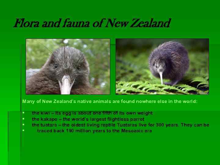Flora and fauna of New Zealand Many of New Zealand’s native animals are found