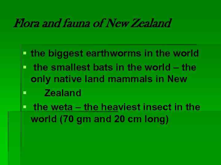 Flora and fauna of New Zealand § the biggest earthworms in the world §