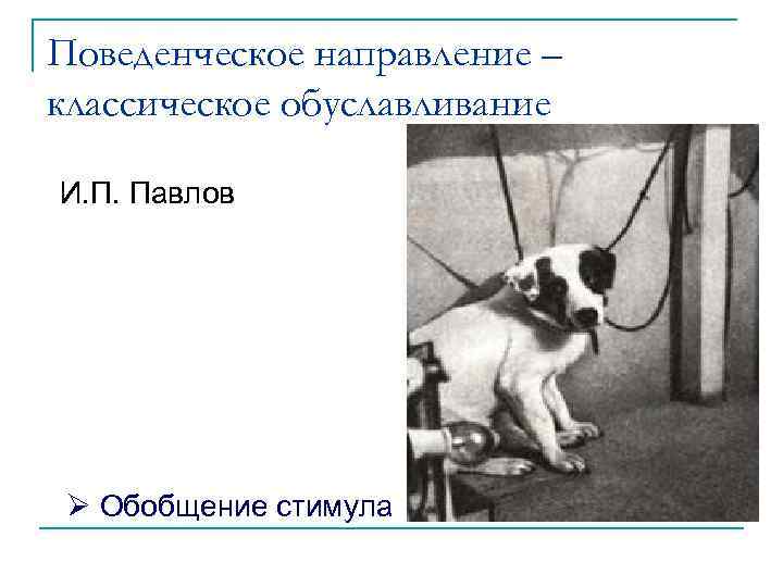 Поведенческое направление – классическое обуславливание И. П. Павлов Ø Обобщение стимула 