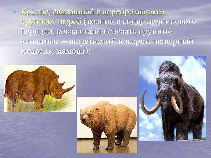  • Кризис, связанный с перепромыслом крупных зверей (возник в конце ледникового периода, когда