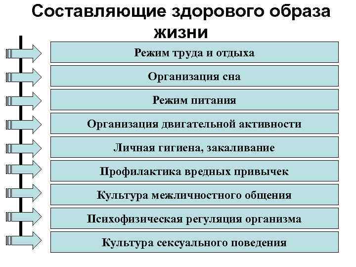 Составляющие здорового образа жизни Режим труда и отдыха Организация сна Режим питания Организация двигательной