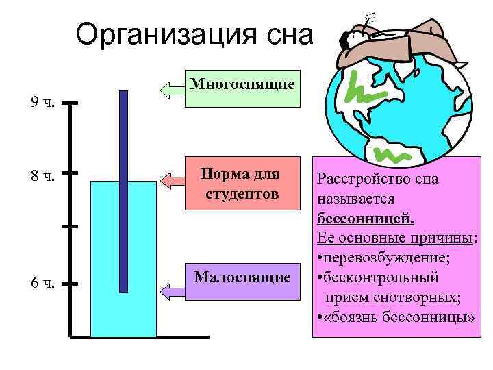 Организация сна 9 ч. Многоспящие 8 ч. Норма для студентов 6 ч. Малоспящие Расстройство