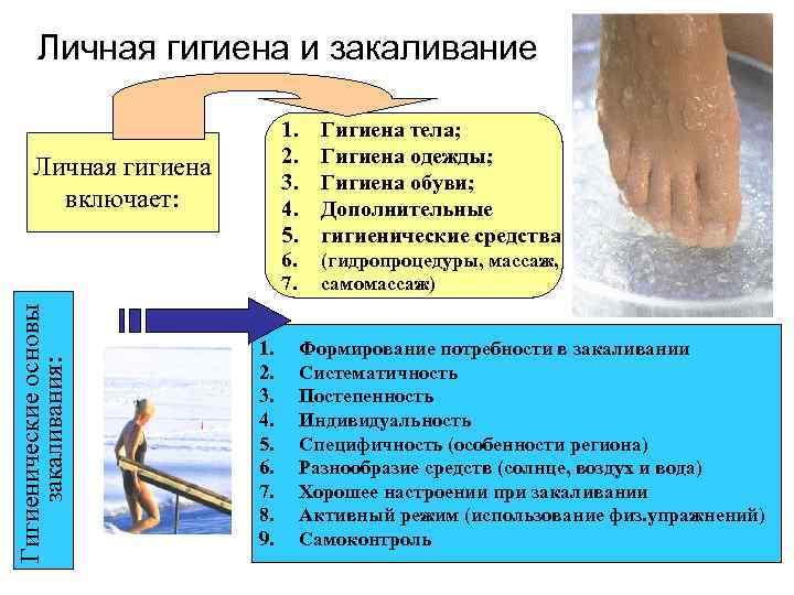 Личная гигиена и закаливание 1. 2. 3. 4. 5. 6. 7. Гигиенические основы закаливания: