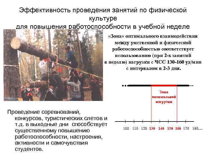Эффективность проведения занятий по физической культуре для повышения работоспособности в учебной неделе «Зона» оптимального
