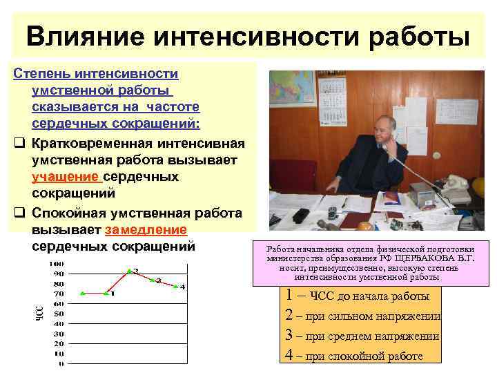 Влияние интенсивности работы Степень интенсивности умственной работы сказывается на частоте сердечных сокращений: q Кратковременная
