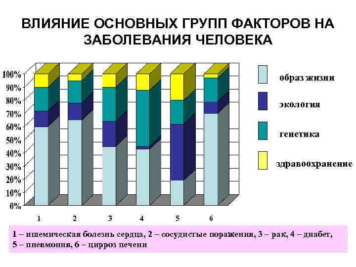 ВЛИЯНИЕ ОСНОВНЫХ ГРУПП ФАКТОРОВ НА ЗАБОЛЕВАНИЯ ЧЕЛОВЕКА образ жизни экология генетика здравоохранение 1 2