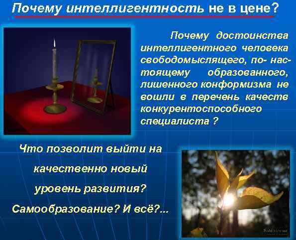 Почему интеллигентность не в цене? Почему достоинства интеллигентного человека свободомыслящего, по- настоящему образованного, лишенного