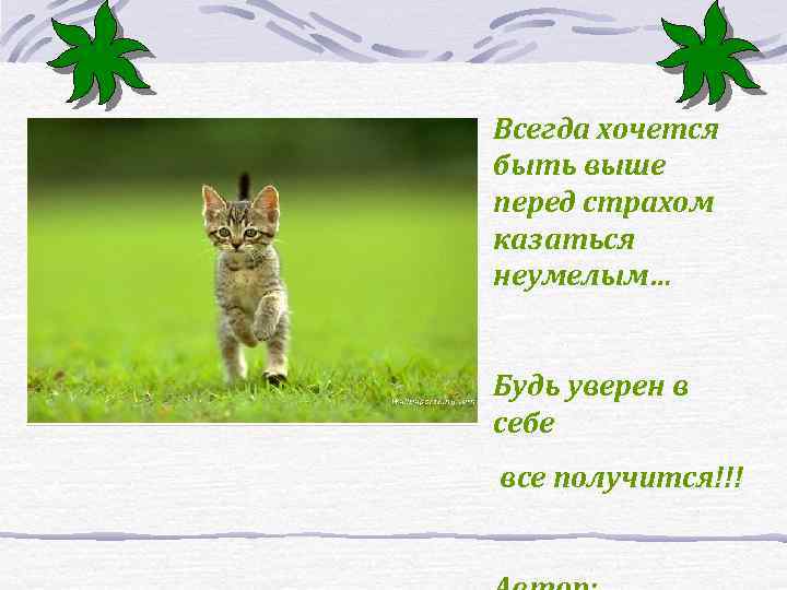 Всегда хочется быть выше перед страхом казаться неумелым… Будь уверен в себе все получится!!!