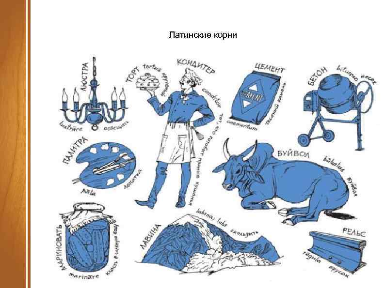 Латинские корни 