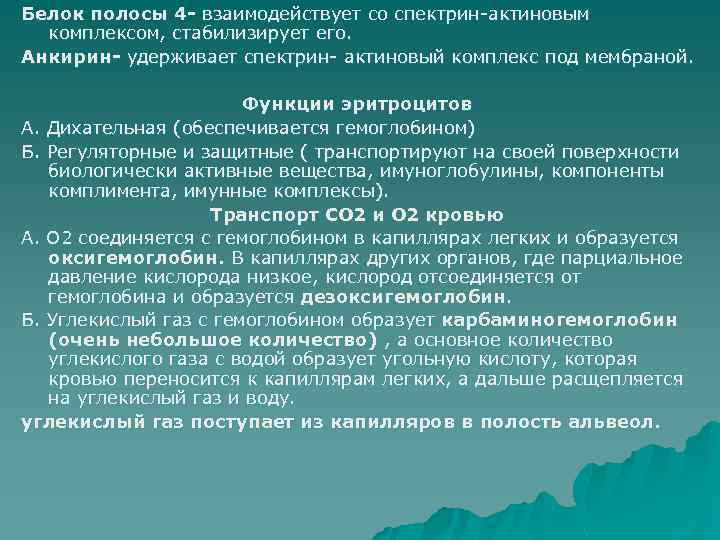 Белок полосы 4 - взаимодействует со спектрин-актиновым комплексом, стабилизирует его. Анкирин- удерживает спектрин- актиновый