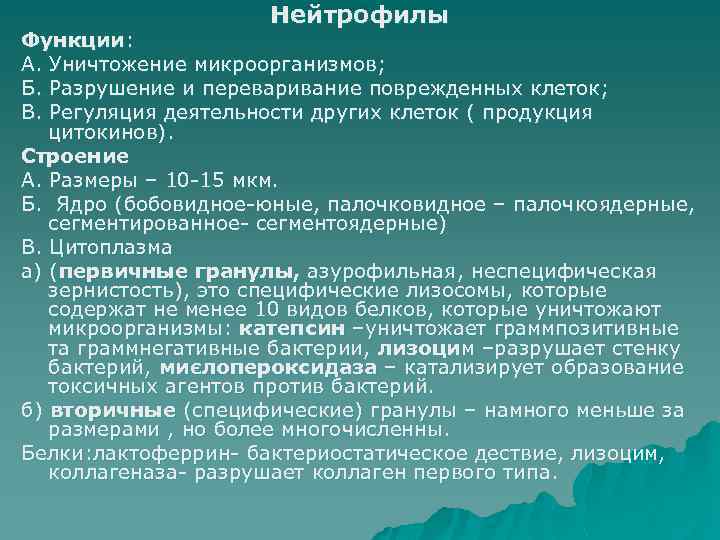 Нейтрофилы Функции: А. Уничтожение микроорганизмов; Б. Разрушение и переваривание поврежденных клеток; В. Регуляция деятельности