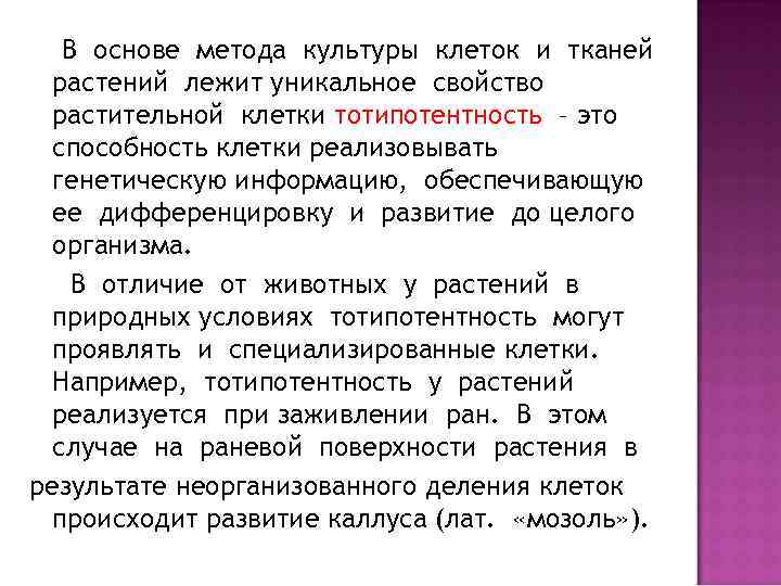 В основе метода культуры клеток и тканей растений лежит уникальное свойство растительной клетки тотипотентность