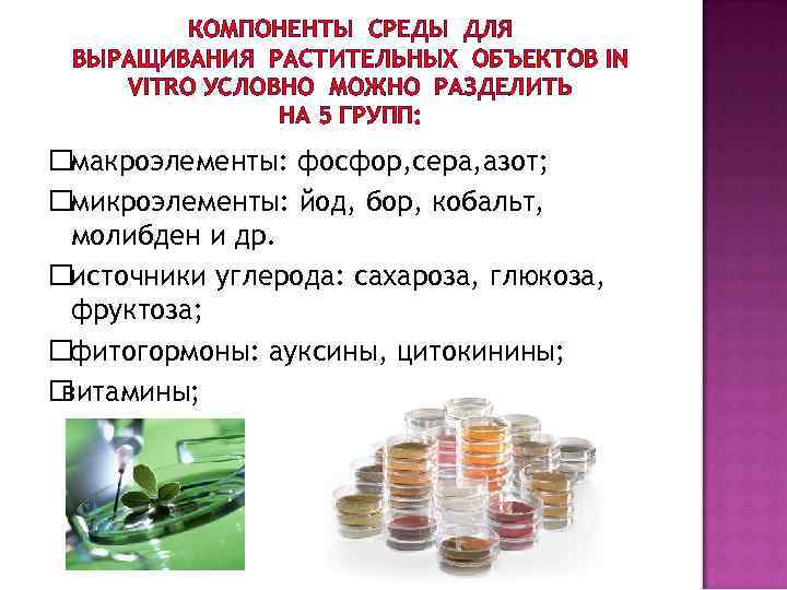 КОМПОНЕНТЫ СРЕДЫ ДЛЯ ВЫРАЩИВАНИЯ РАСТИТЕЛЬНЫХ ОБЪЕКТОВ IN VITRO УСЛОВНО МОЖНО РАЗДЕЛИТЬ НА 5 ГРУПП: