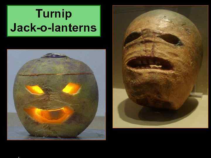 Turnip Jack-o-lanterns rently, this is a turnip. An early Celtic turnip Jack-o 