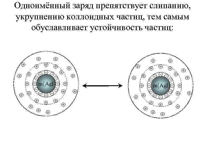 Одноимённый заряд препятствует слипанию, укрупнению коллоидных частиц, тем самым обуславливает устойчивость частиц: m[Ag. I]