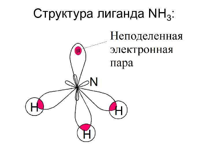 Структура лиганда NH 3: 
