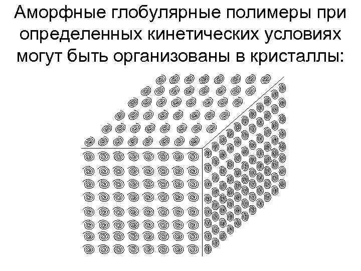 Аморфные глобулярные полимеры при определенных кинетических условиях могут быть организованы в кристаллы: 