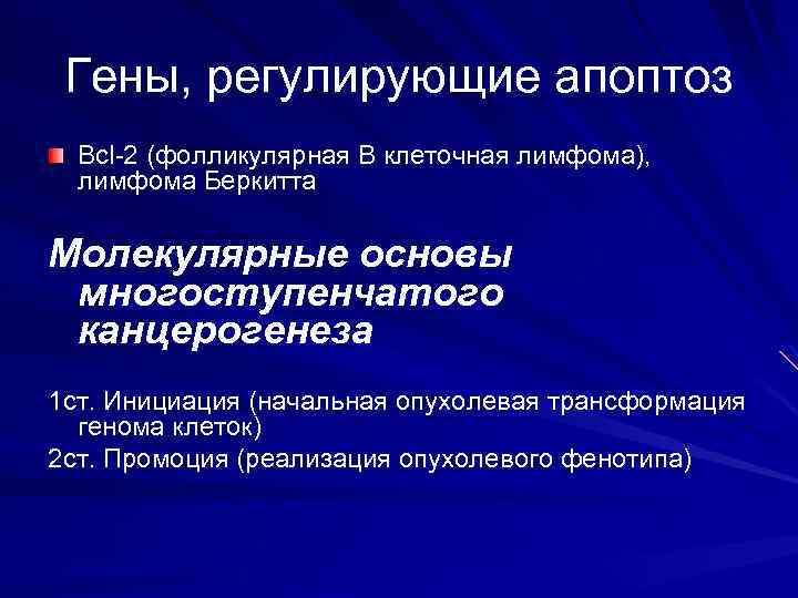 Гены, регулирующие апоптоз Bcl-2 (фолликулярная В клеточная лимфома), лимфома Беркитта Молекулярные основы многоступенчатого канцерогенеза