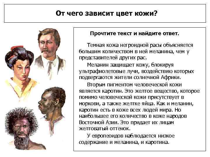 От чего зависит цвет кожи? Прочтите текст и найдите ответ. Темная кожа негроидной расы