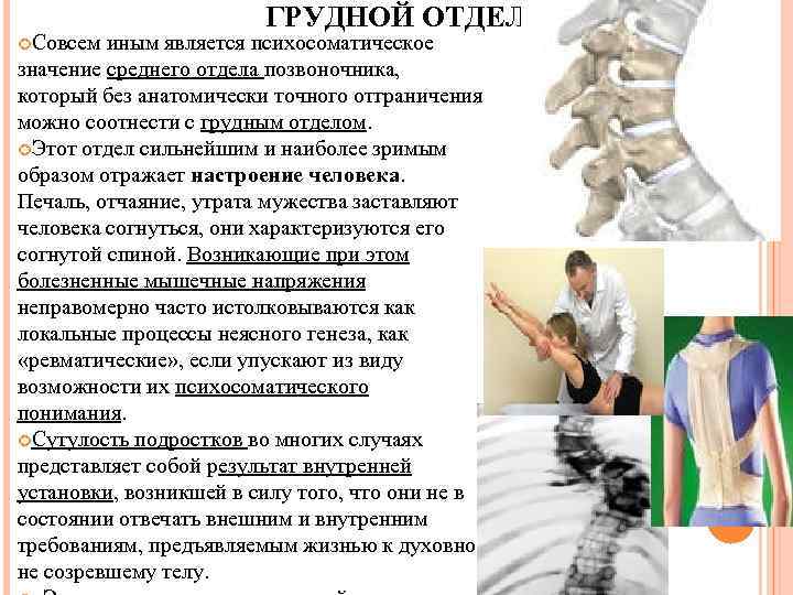 ГРУДНОЙ ОТДЕЛ Совсем иным является психосоматическое значение среднего отдела позвоночника, который без анатомически точного