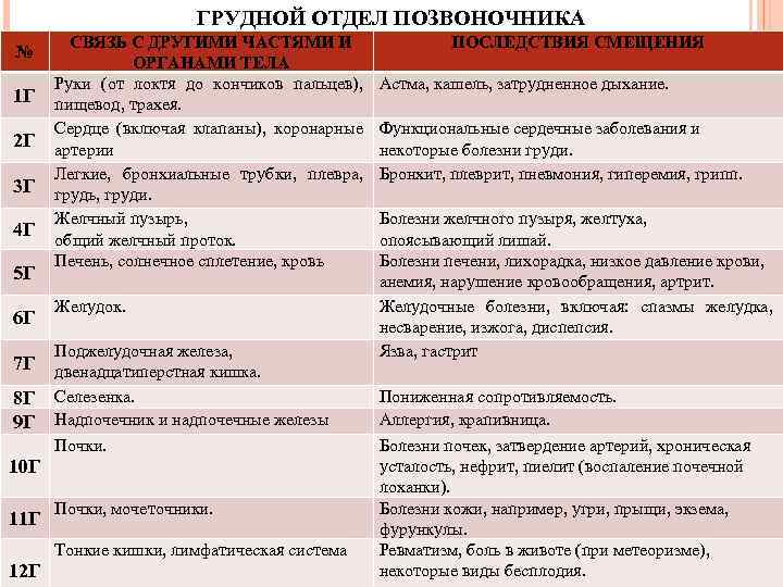 ГРУДНОЙ ОТДЕЛ ПОЗВОНОЧНИКА № 1 Г 2 Г 3 Г 4 Г 5 Г