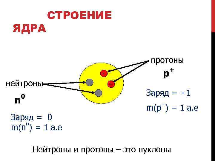 Из чего состоит протон атома