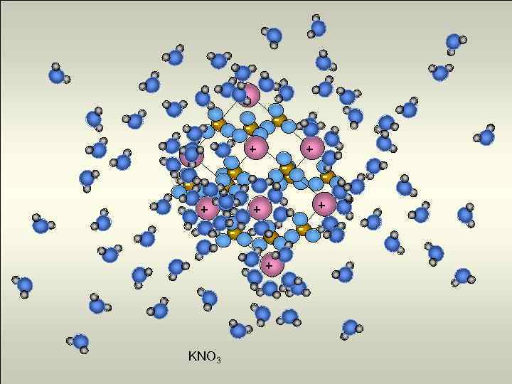 + - - + -- - + + + - + KNO 3 -