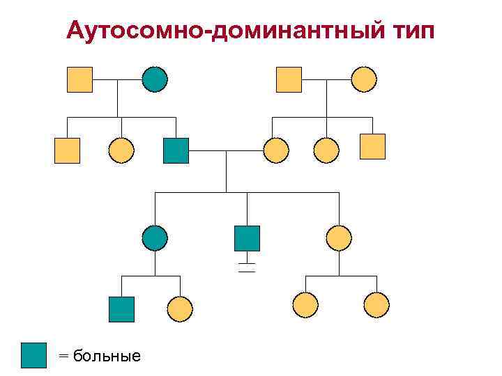 Аутосомно-доминантный тип = больные 