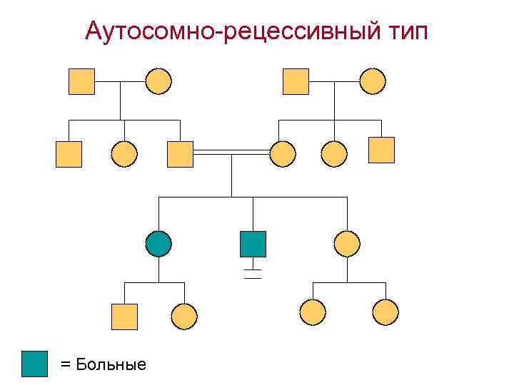 Аутосомно-рецессивный тип = Больные 