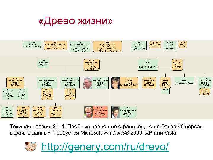  «Древо жизни» Текущая версия: 3. 1. 1. Пробный период не ограничен, но не