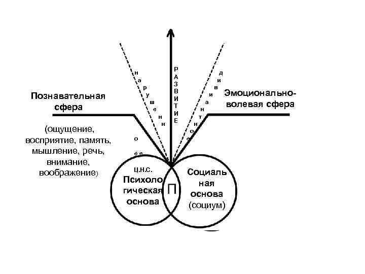 Познавательная сфера (ощущение, восприятие, память, мышление, речь, внимание, воображение) н а р у ш