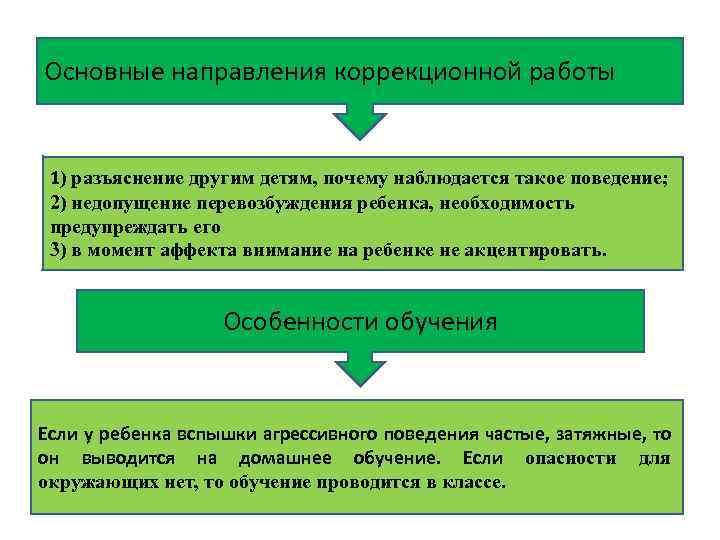 Основные направления коррекционной работы 1) разъяснение другим детям, почему наблюдается такое поведение; 2) недопущение