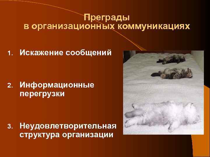 Преграды в организационных коммуникациях 1. Искажение сообщений 2. Информационные перегрузки 3. Неудовлетворительная структура организации