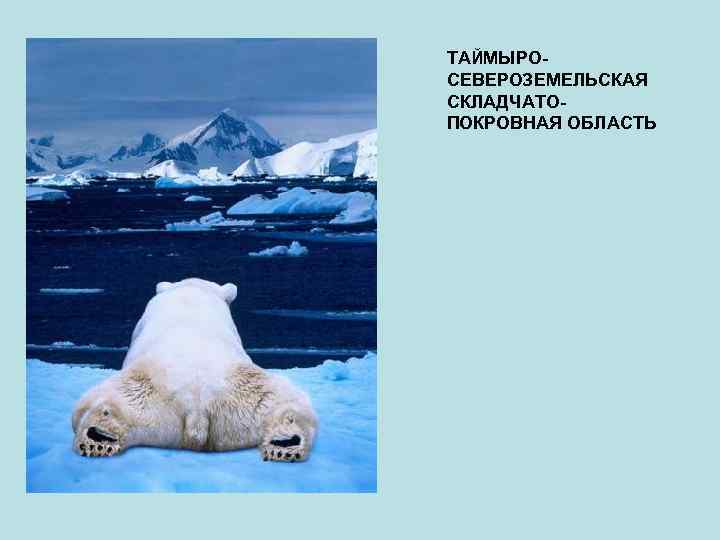 ТАЙМЫРОСЕВЕРОЗЕМЕЛЬСКАЯ СКЛАДЧАТОПОКРОВНАЯ ОБЛАСТЬ 