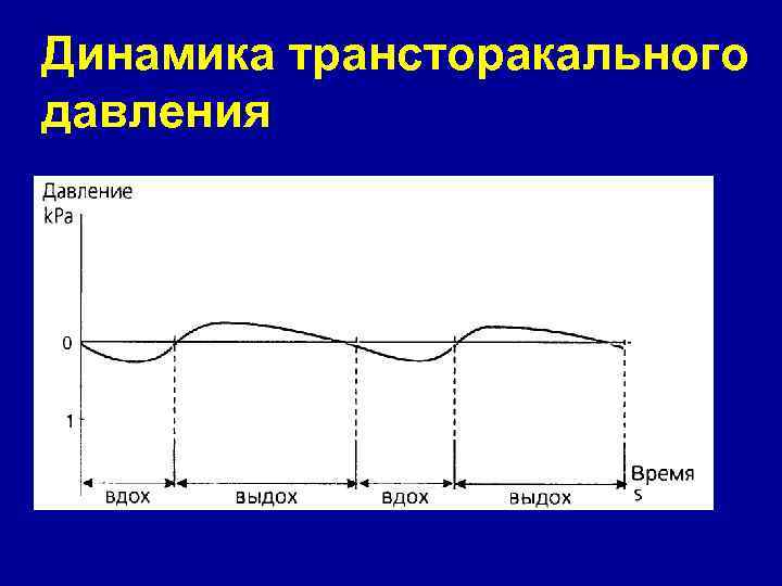Динамика трансторакального давления 