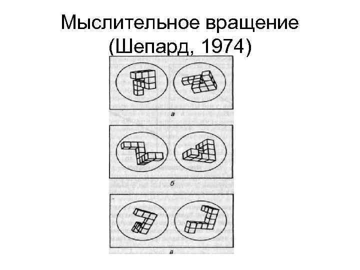 Мыслительное вращение (Шепард, 1974) 