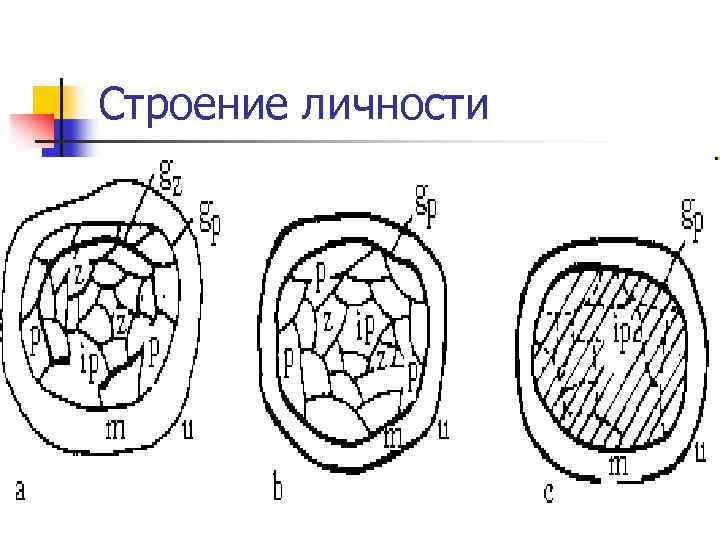 Строение личности 