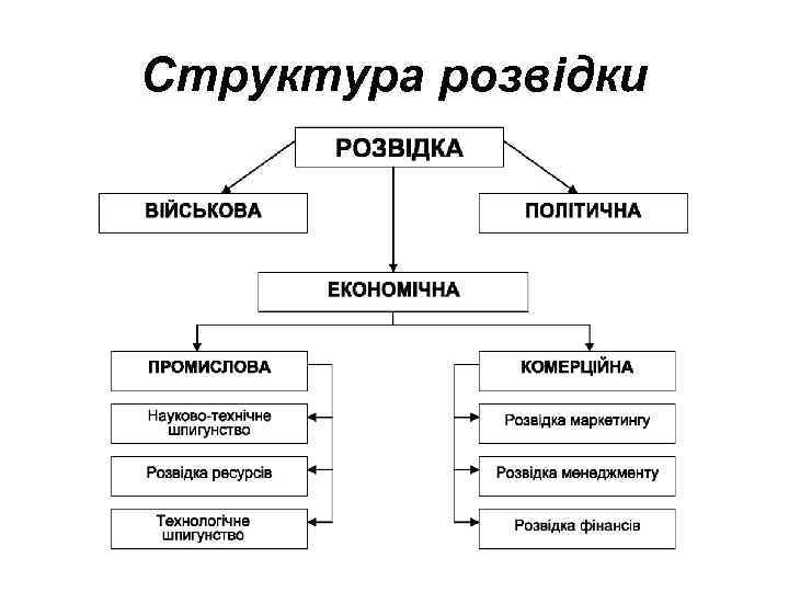 Структура розвідки 