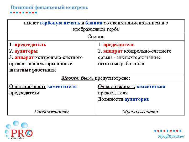 Внешний финансовый контроль имеют гербовую печать и бланки со своим наименованием и с изображением
