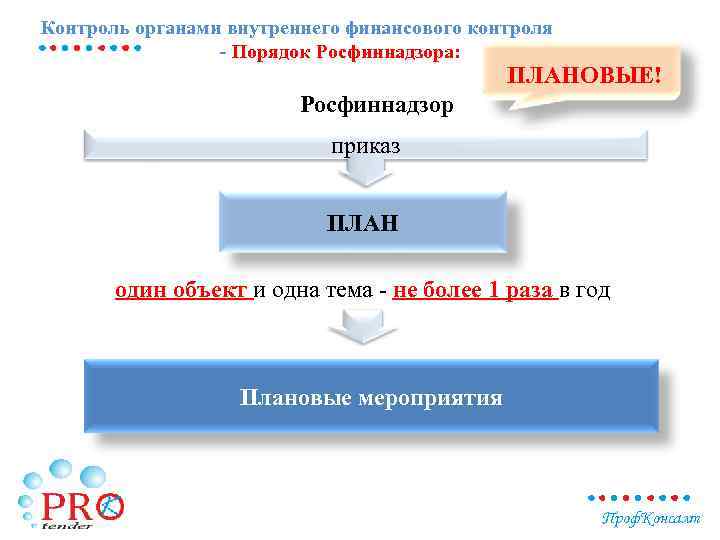 Контроль органами внутреннего финансового контроля - Порядок Росфиннадзора: ПЛАНОВЫЕ! Росфиннадзор приказ ПЛАН один объект