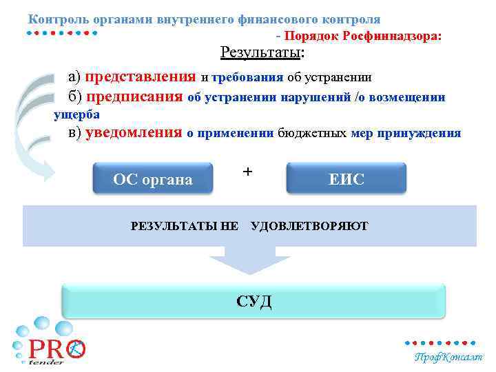 Контроль органами внутреннего финансового контроля - Порядок Росфиннадзора: Результаты: а) представления и требования об