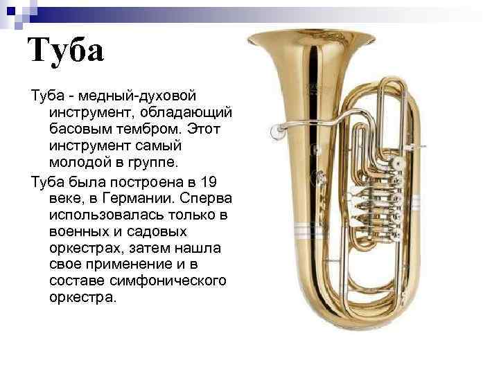 Туба - медный-духовой инструмент, обладающий басовым тембром. Этот инструмент самый молодой в группе. Туба